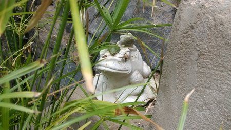 IMG_20130610_212158.jpg