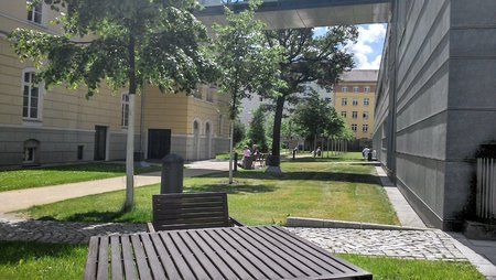 2013-06-11 13.47.30.jpg