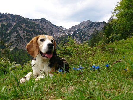 2013-06-09 12.39.35.jpg