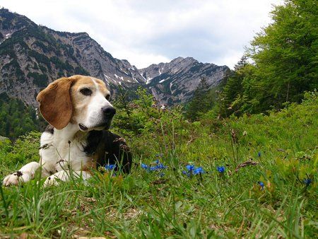 2013-06-09 12.39.26.jpg