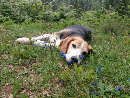 2013-06-09 12.35.37.jpg