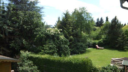 IMG_20130616_150723.jpg