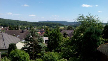 IMG_20130616_145932.jpg