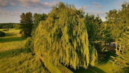 IMG_14062013_201119_HDR.jpg