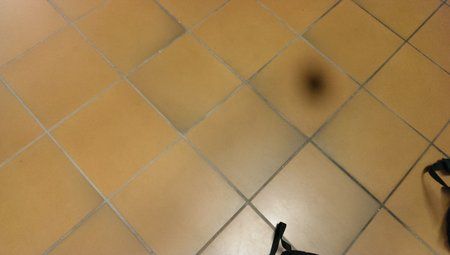 IMAG0980.jpg