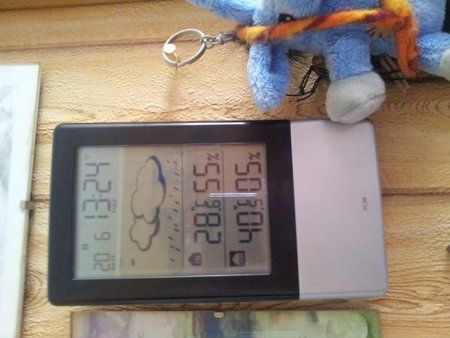 20130620_132407.jpg
