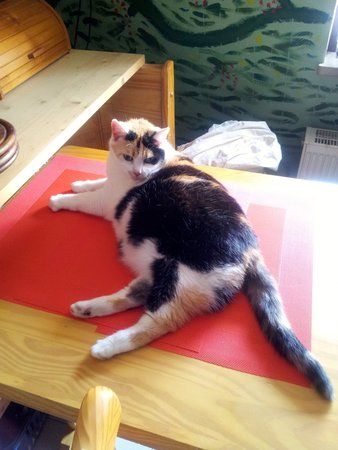 20130619_113833.jpg