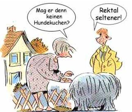 hundekuchen.jpeg