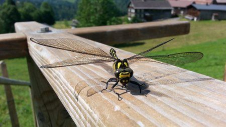 20130620_104324.jpg