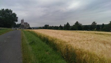 IMAG0027.jpg