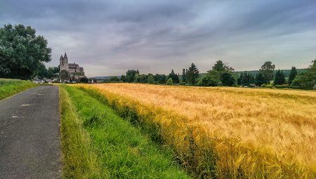 IMAG0027neu.jpg
