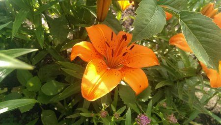 IMAG0036.jpg