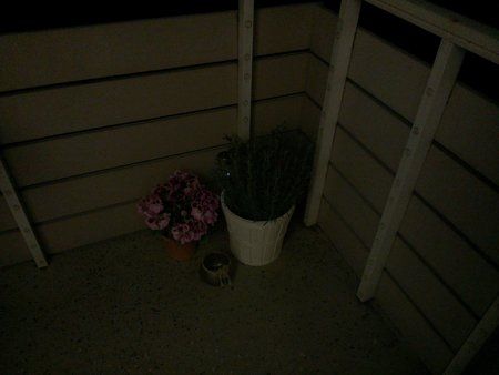 01_HTC_One_X+_IMAG0038.jpg