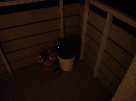 03_LG_Optimus_G_CAM00049.jpg