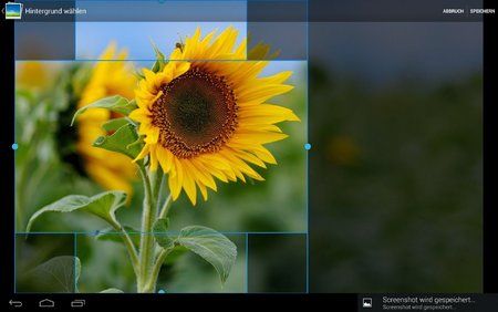 Screenshot_2013-07-10-09-45-16.jpg