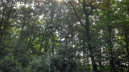 IMG_20130713_100713_159.jpg
