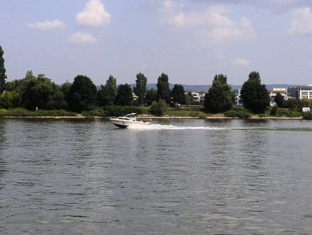 IMG_20130713_114022.jpg