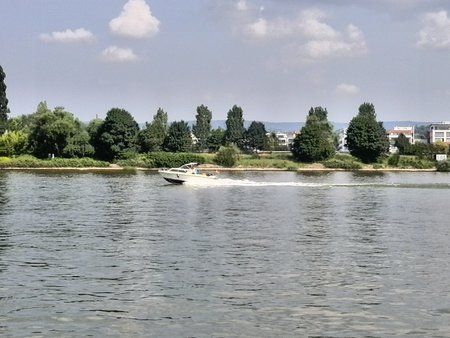 IMG_20130713_114024.jpg