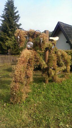 IMAG0075.jpg
