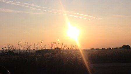 IMG_20130716_062146.jpg