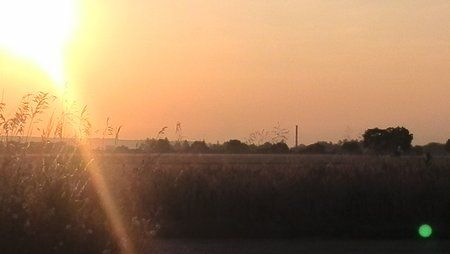 IMG_20130716_062216.jpg