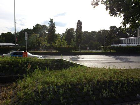 20130716_183747.jpg