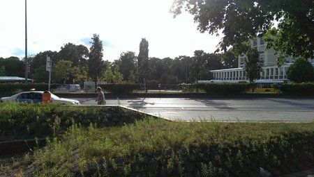 IMAG0479.jpg