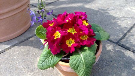 WP_20130421_015.jpg
