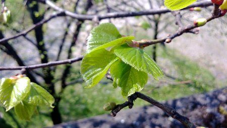 WP_20130425_023.jpg