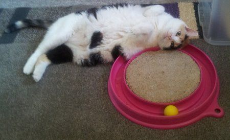 20130719_164444.jpg