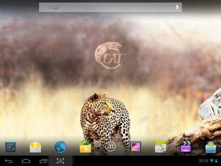 Screenshot_2013-07-26-23-13-24.jpg