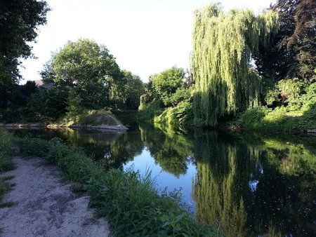 2013-07-22 08.03.41.jpg