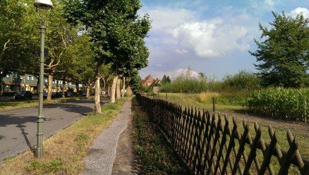 IMAG0386-klein.jpg