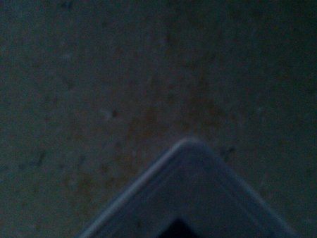 uploadfromtaptalk1375298261212.jpg