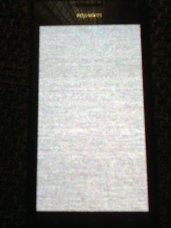 2013-08-05-110.jpg