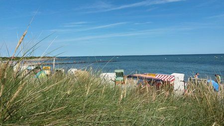 2013-07-24 11.09.43.jpg