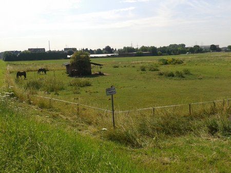 20130717_110847.jpg