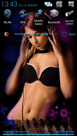 Screenshot_2013-08-13-13-43-19.png