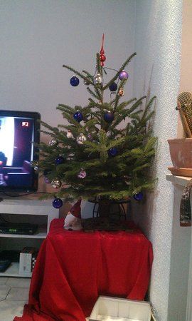 IMAG0010.jpg