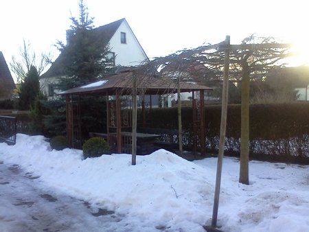 IMG1003.jpg