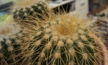 2011-01-17 23.28.13.jpg