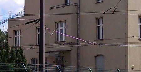 2013-08-15 12.44.081.jpg