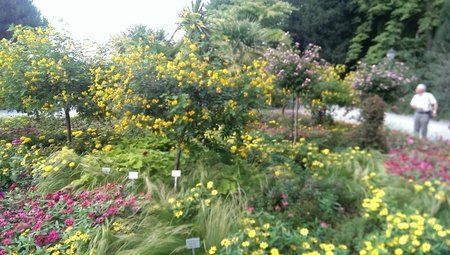 IMAG0114_1209x684.jpg