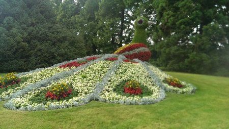 IMAG0115_1209x684.jpg