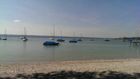 IMAG0213.jpg