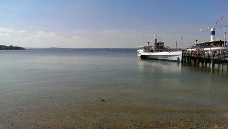 IMAG0206.jpg