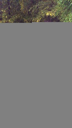CameraZOOM-20130825215718110.jpg