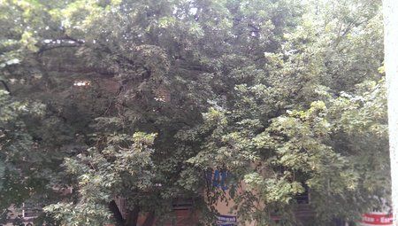 IMAG0113.jpg