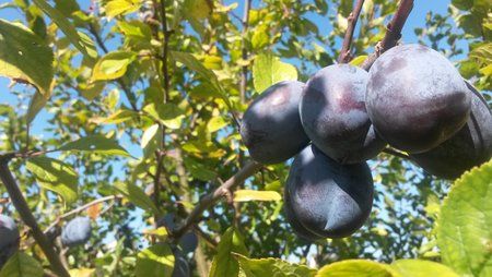 20130903_113415[1].jpg