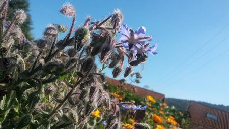20130903_113534[1].jpg